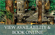 view availability and book online
